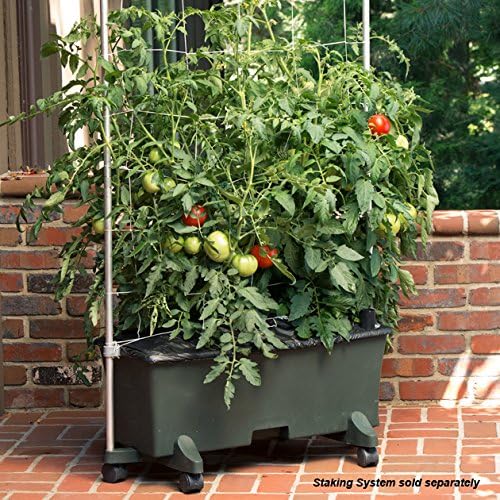 EarthBox 80151 Garden Kit - Image 4