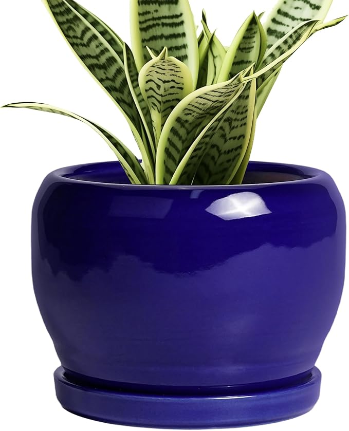 SQOWL Ceramic Planters for Indoor Plants by SQOWL