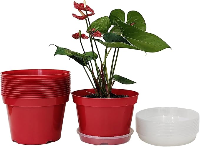 8 inch Plastic Flower Pots by RooTrimmer