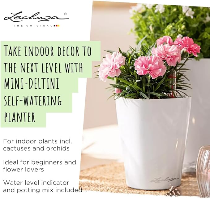 Lechuza MINI-DELTINI Charcoal Metallic, Self-Watering Small Indoor Planter - Image 6