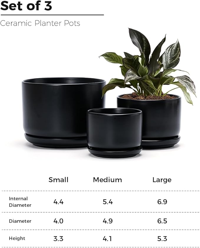 Ton Sin Plant Pots, 4.1+5.1+6.5 inch, Ceramic Planters - Image 3