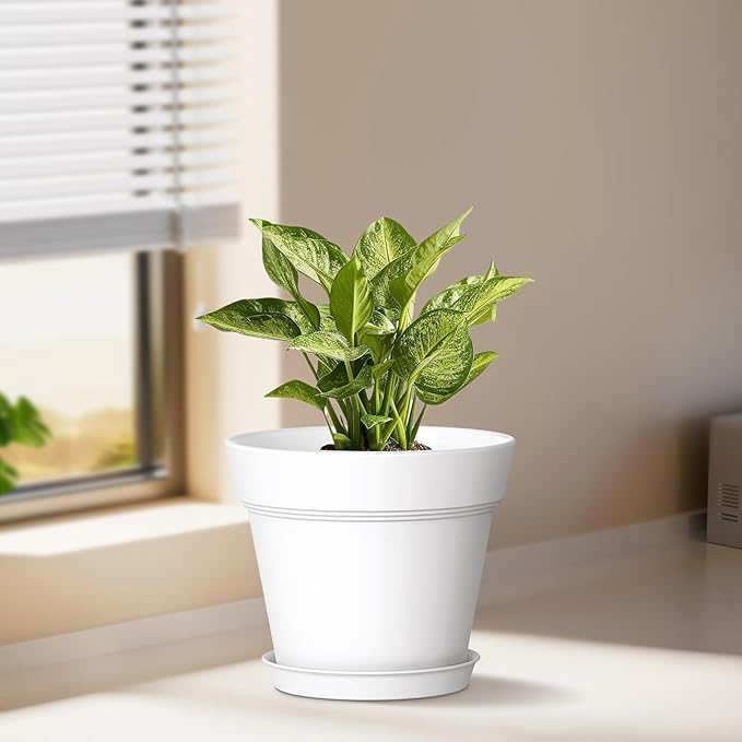 4 Inch Plastic Plant Pots with Drainage Holes and Trays – 8 Pack Small Nursery - Image 2