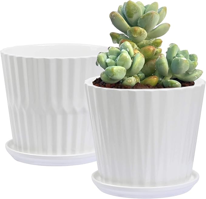 Plant Pots - 6.7 Inch Cylinder Ceramic Planters by sietpoek