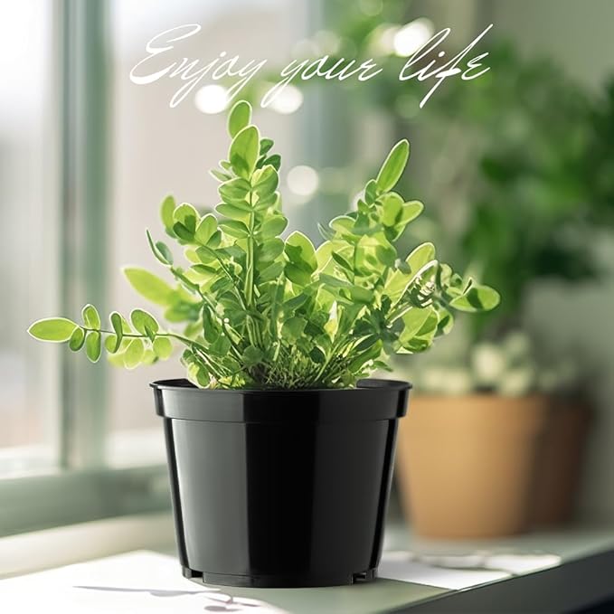 BTPLASTIK 15 Pack 6 Inch Plastic Plant Pots - Image 6
