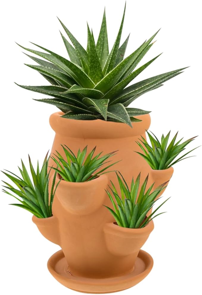 BESTonZON Terracotta Multi Pocket Succulent Plant Pot Lightweight Strawberry - Image 2