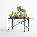 Zhongma Sturdy Metal Plant Stand by Zhongma