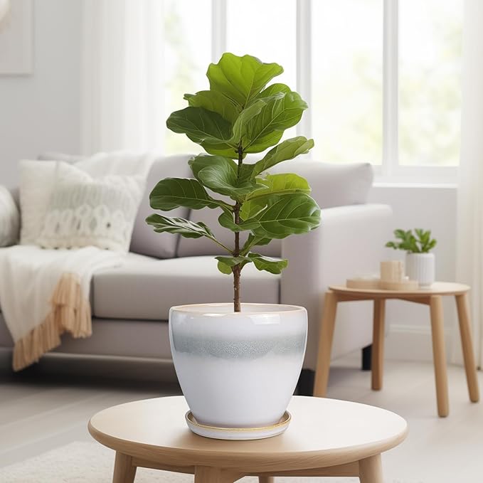 Ceramic Pots for Plants - Image 7