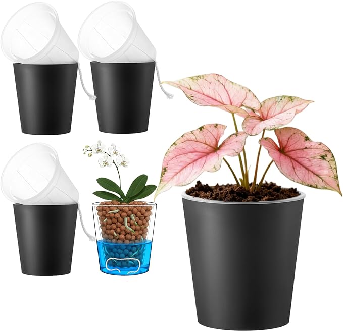 3 Pack of 6in Plastic Cachepot by TineDew