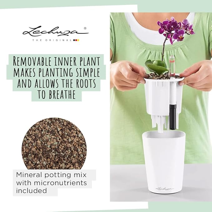 Lechuza MINI-DELTINI Charcoal Metallic, Self-Watering Small Indoor Planter - Image 3
