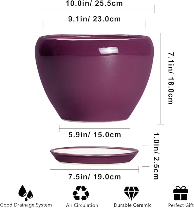 10 Inch Plant Pot - Image 3