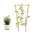 3Pack Bamboo Trellis 16 Inch Fan Shaped Small Plant Trellis by Coloringyourleisuretime