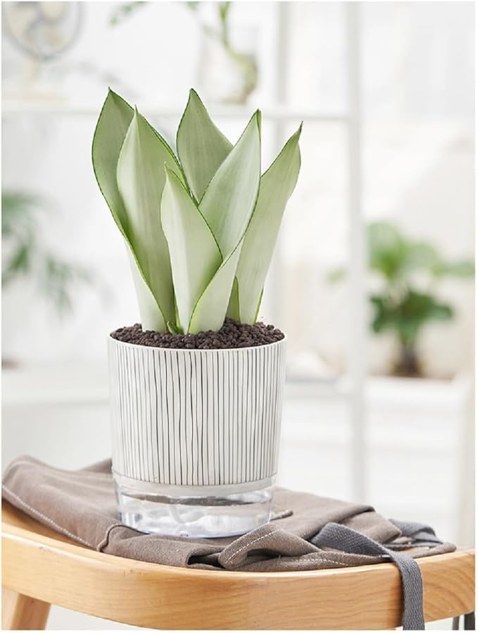 Self Watering Pots for Indoor Plants, Flower Pots, Self Watering Plant Pot-2pcs - Image 9