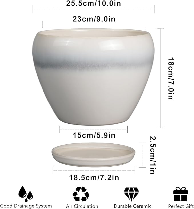 10 Inch Ceramic Planter Pot - Image 3