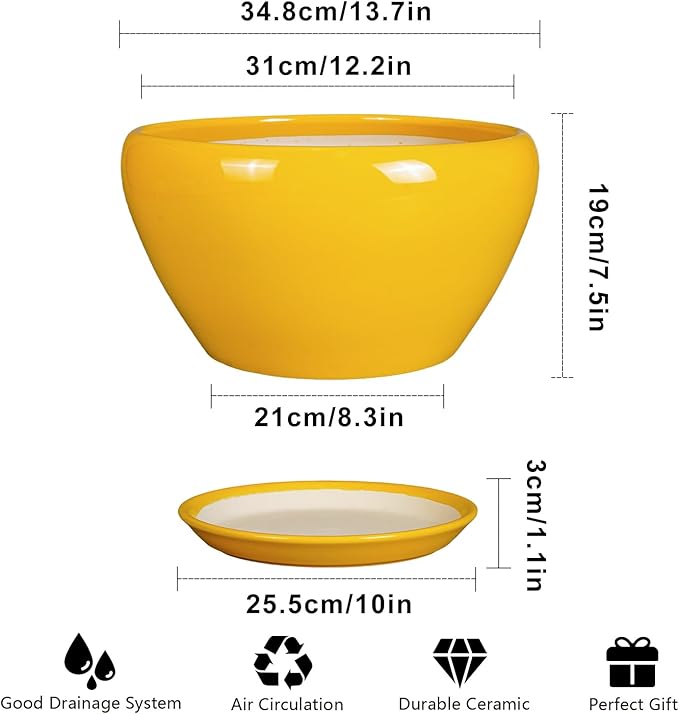 Ceramic Planter for Indoor Plants - Image 3