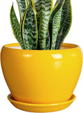 8 Inch Plant Pot by Ceramicfor