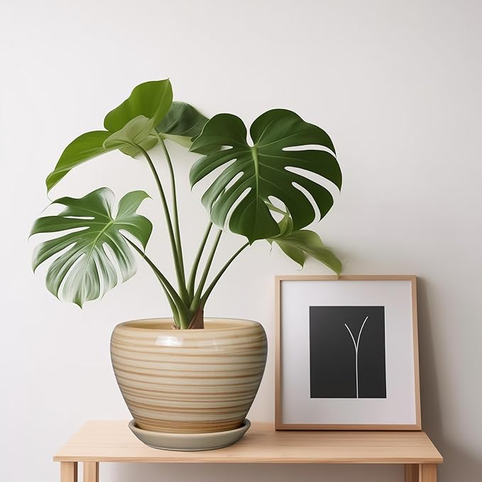 6 Inch Plant Pot Ceramic - Image 7