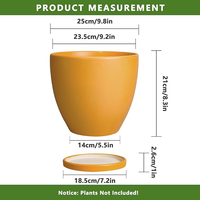 10 Inch Plant Pot - Image 3