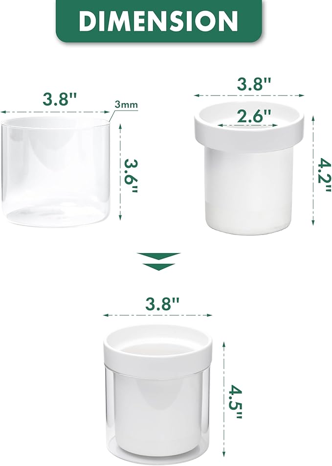 Phoenix Vine 4 Inch Self Watering Planter - Image 3
