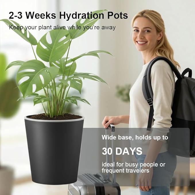 3 Pack of 6in Plastic Cachepot - Image 5