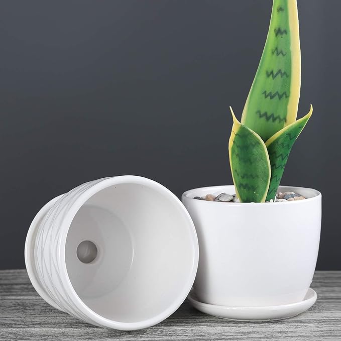Plant Pots - 4.7 Inch Cylinder Ceramic Planters - Image 6