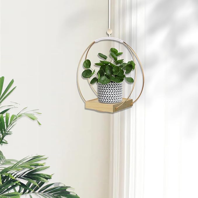 Hanging Planter for Indoor Plants, Plant Hanger - Image 2