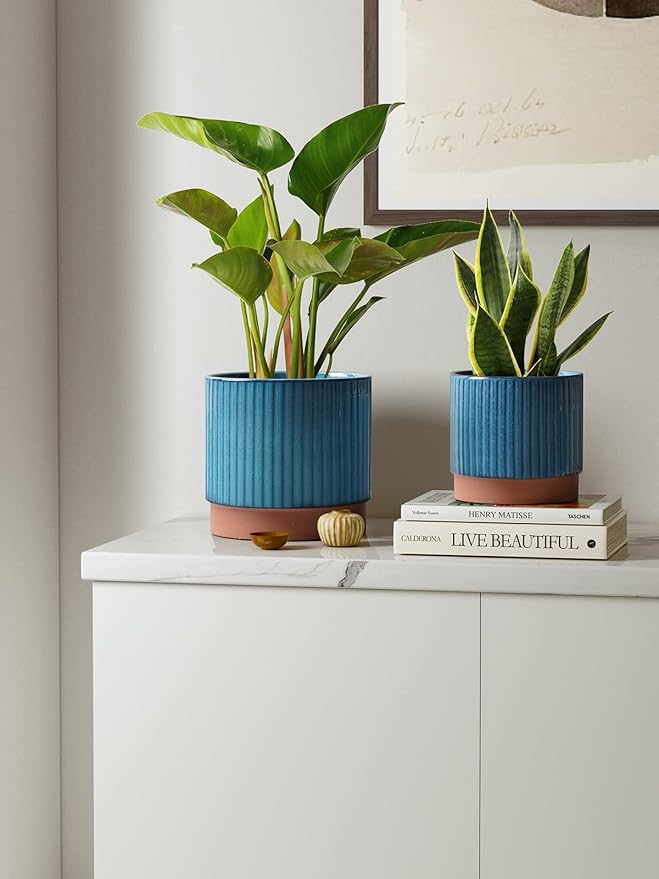 LE TAUCI Ceramic Pots for Plants, 8+6.7+5.5 Inch Plant Pots Indoor, Flower Pot - Image 2