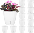 Self-Watering Pots for Indoor Plants, Small African Violet Pots by KvyusFlourish