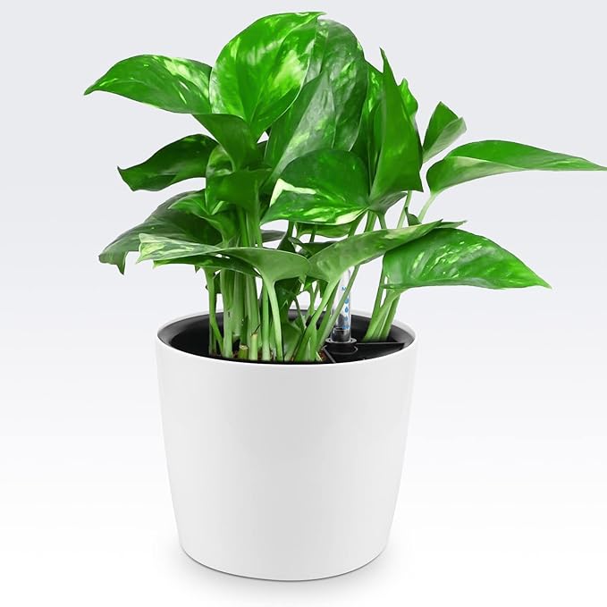 4 Pack 7 Inch Self Watering Planter - Image 7