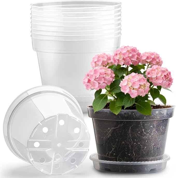 10 Pack 10 Inch Clear Nursery Pots by RooTrimmer