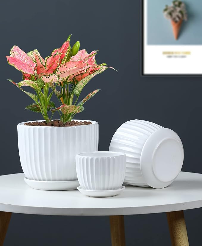 Ton Sin White Plant Pots Set of 3, Indoor Ceramic Flower Pot - Image 3