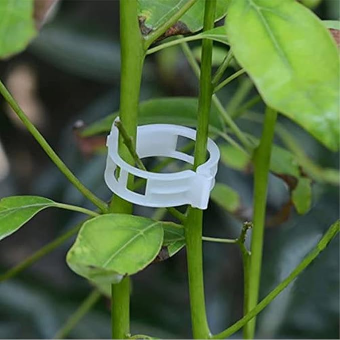 100PCS Plant Support Garden Clips Tomato Clips Supports/Connects - Image 5