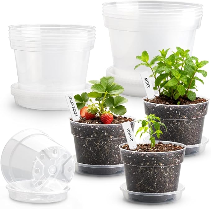 12 Pack 10/8/6 Inch Clear Nursery Pots by BTPLASTIK