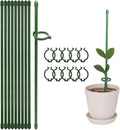 12 Inch Plant Support Stakes, by kvzvk