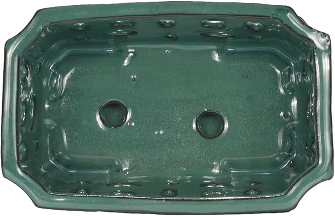 W&W Orchid Pot with Holes and Saucer - Image 4