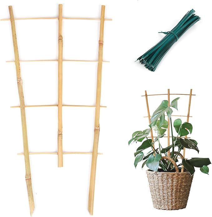 Plant Trellis Indoor 6 Pack Bamboo Trellis by Cambaverd