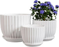 Ton Sin White Plant Pots Set of 3, Indoor Ceramic Flower Pot by TonSin