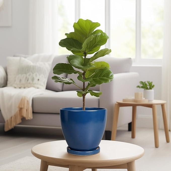 Ceramic Plant Pot - Image 4