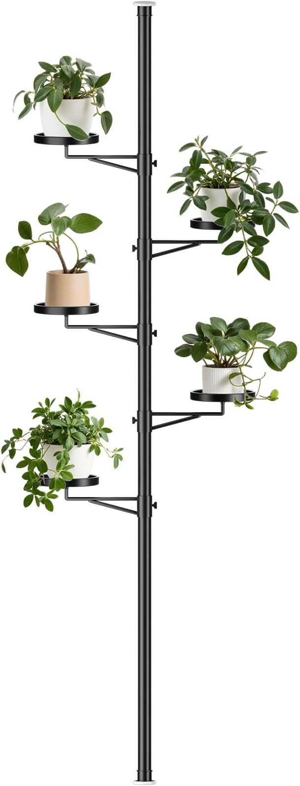 Tension Rod Plant Stand, 5 Tier Tension Pole Plant Stand by Zononoca