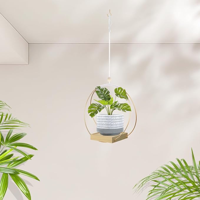 Hanging Planter for Indoor Plants, Plant Hanger - Image 5