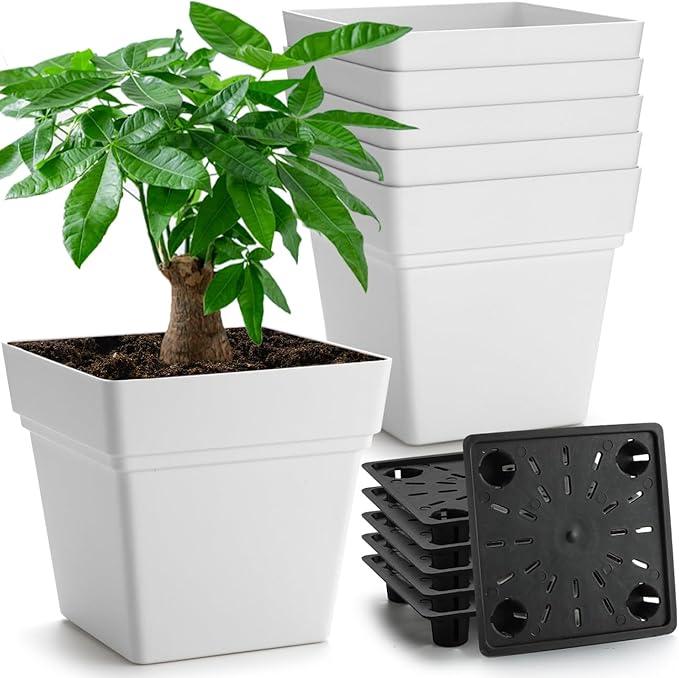 6-Pack 7 Inch Square Planters by RooTrimmer