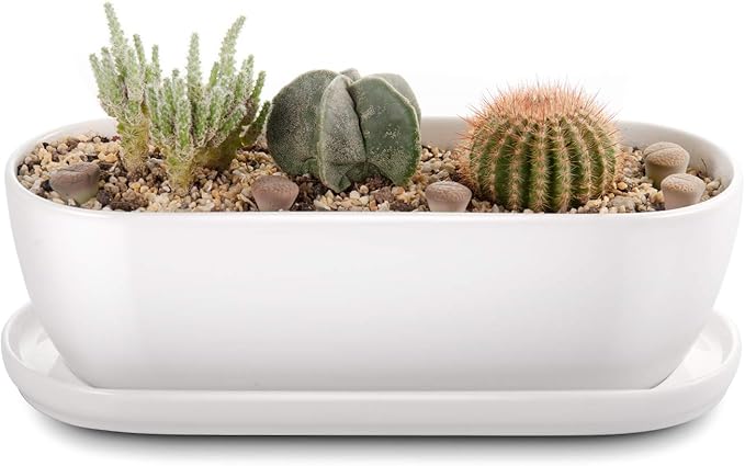 E-liu Oval Ceramic Planter Pot by Creatingwarmandrefinedlifestylekitchenandhomeessentials
