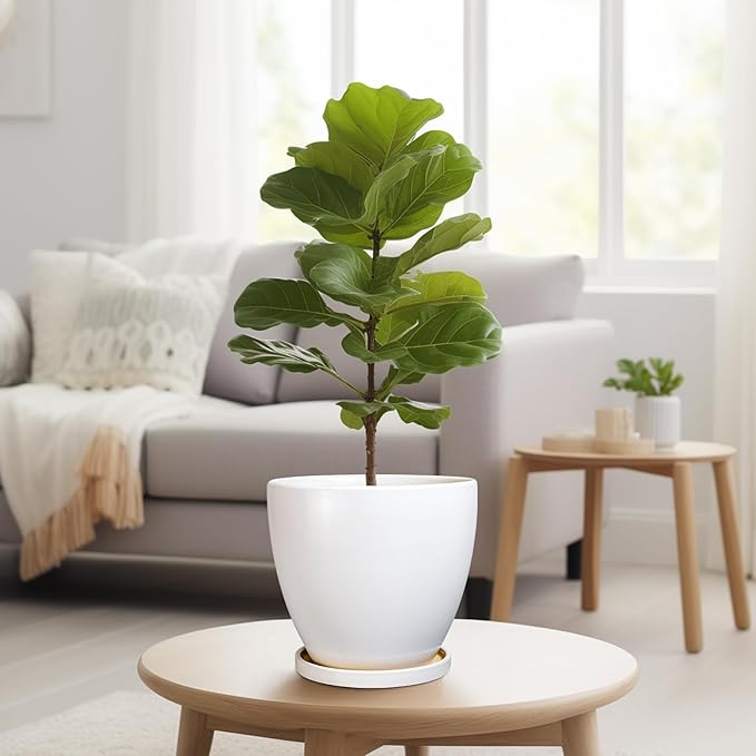 8 Inch Plant Pot - Image 4