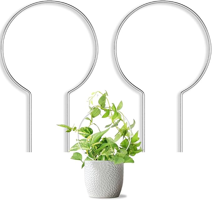 2 Pack Round Plant Trellis for Potted Plants Indoor Outdoor, Acrylic Small by Unknown