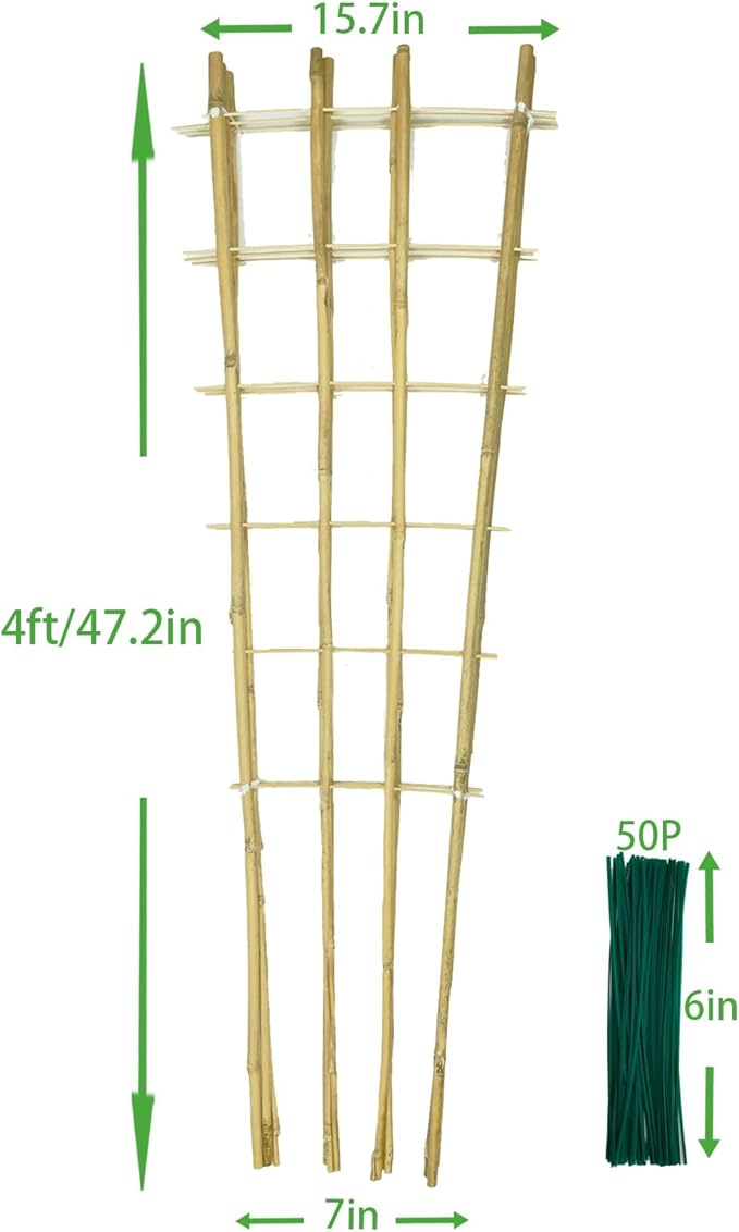 Natural Bamboo Trellis, Fan-Shaped Plant Support Trellis - Image 6