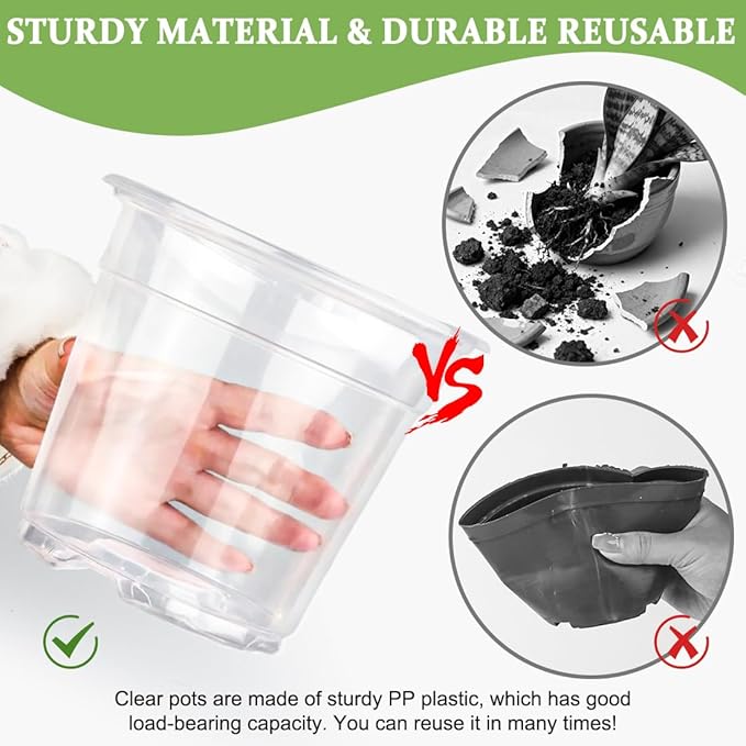60 Pack 6 Inch Clear Nursery Pots - Image 4