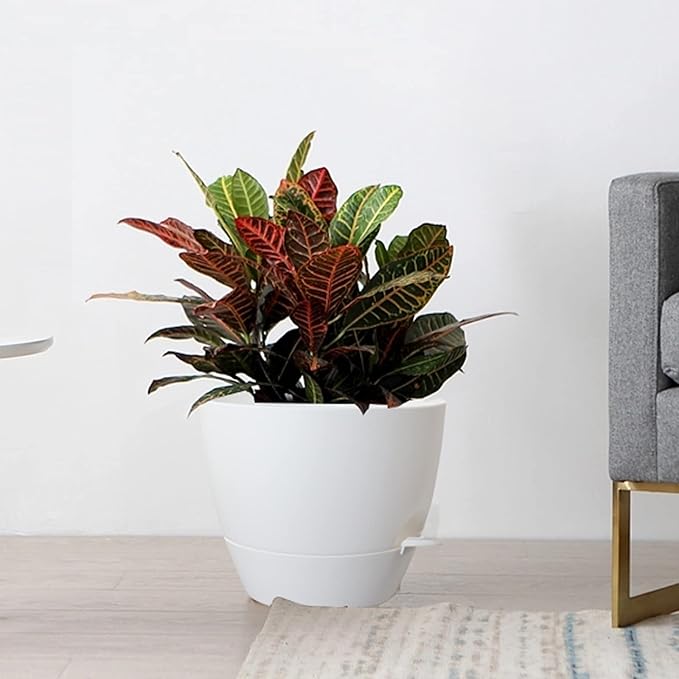 Large Self Watering Pots, 12/10/9 Plastic Planters - Image 7