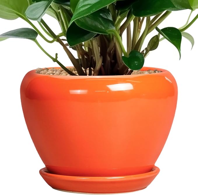 Ceramic Plant Pot 6 Inch by Ceramicfor