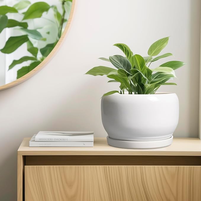 SQOWL Ceramic Pot for Plants - Image 7