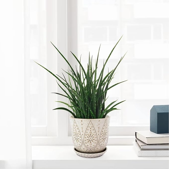 Gepege 8 Inch Plant Pot, Creamy White Ceramic Planter - Image 6