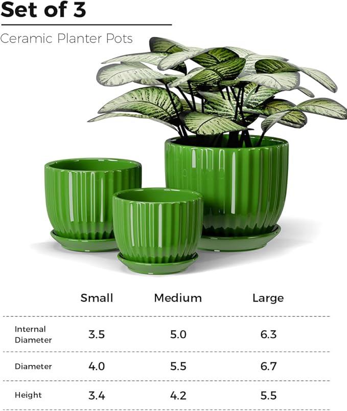 Ton Sin Ceramic Plant Pots, Indoor Planters - Image 3